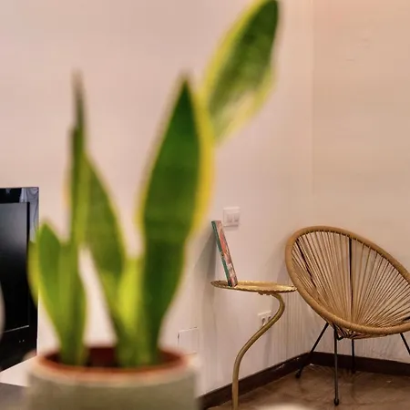 Apartment Next To Park Guell *